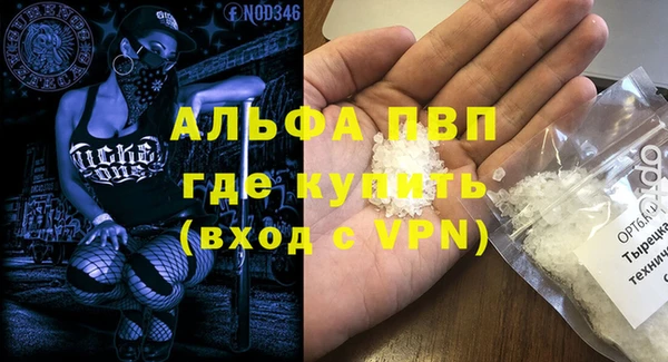 сатива Алзамай