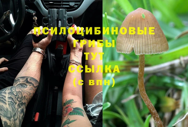 дживик Алексеевка