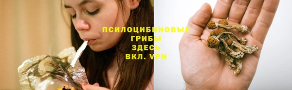 дживик Алексеевка