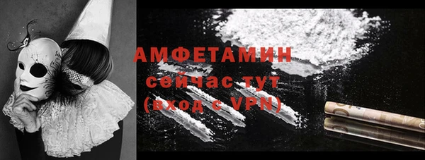 сатива Алзамай
