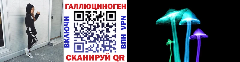 Псилоцибиновые грибы мицелий  Новоузенск 